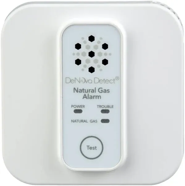 DeNova Detect 10-Year Battery-operated Natural Gas Detector with Voice Alert DD620NV