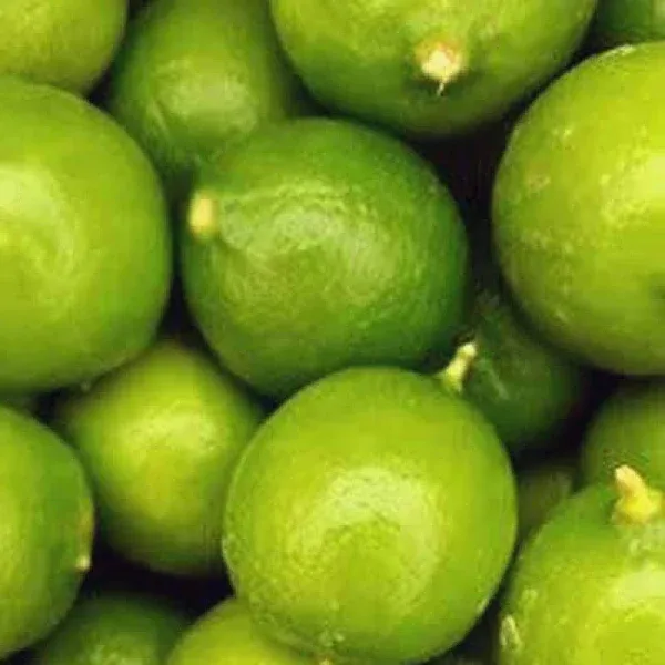 Melissa's Fresh Key Limes, (5 lb) (Fresh Organic Key Limes (10 lb))