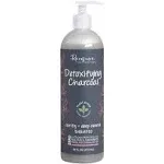 Renpure Plant-Based Beauty Detoxifying Charcoal Clarify + Deep Cleanse Shampoo,