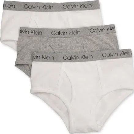 Calvin Klein Boys' Little Modern Cotton Assorted Briefs Underwear 3 Pack