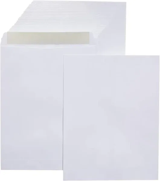 Amazon Basics Catalog Mailing Envelopes, Peel and Seal, 10x13 Inch, White, 250-Pack