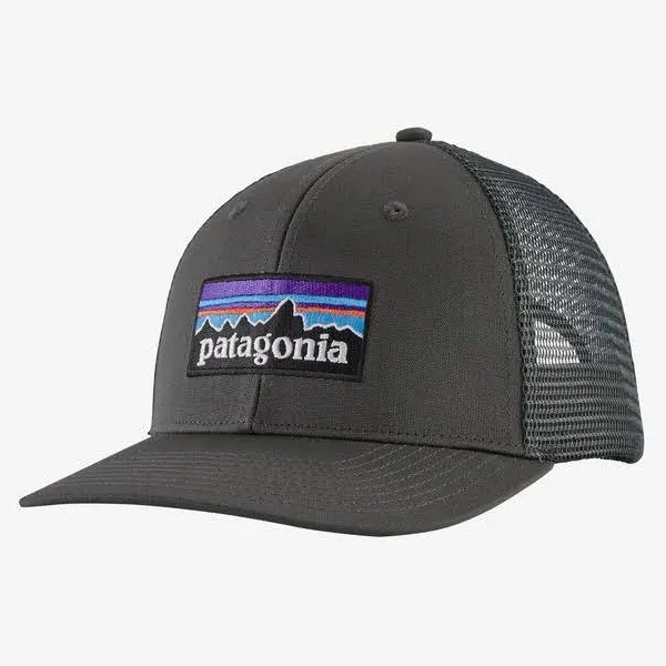 Patagonia P-6 Logo Trucker Hat