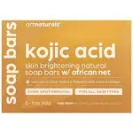 Artnaturals Kojic Acid Soap African Net Sponge 2 Pack x 142g Turmeric Bars