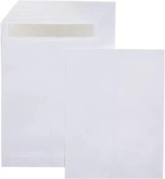 AmazonBasics Catalog Mailing Envelopes