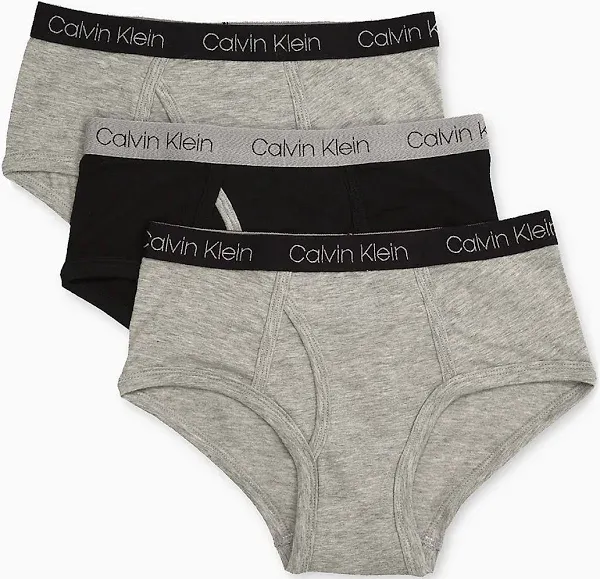 Calvin Klein Boys' Little Modern Cotton Assorted Briefs Underwear 3 Pack