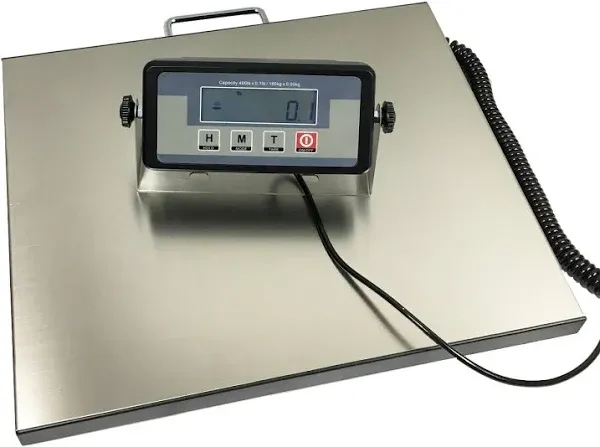 Angel USA 400 Pound Physician Digital Scale