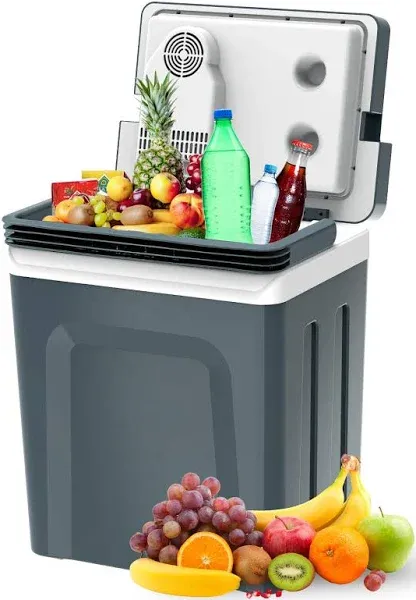 Subsun Electric Cooler and Warmer