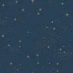 RMK11319WP Upon A Star Navy and Metallic Peel and Stick Wallpaper