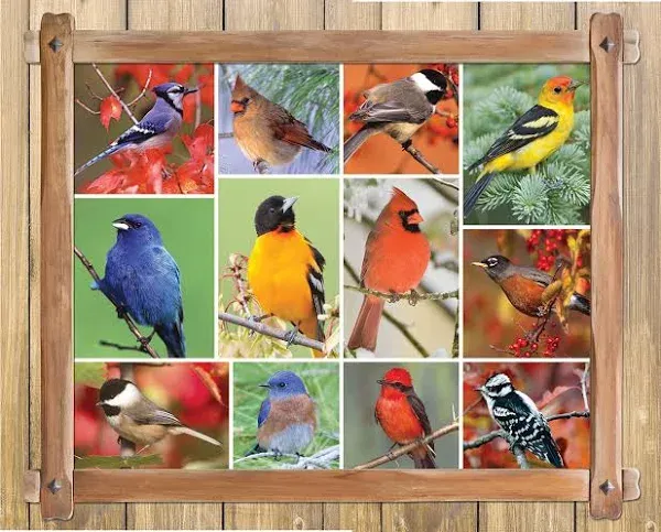 Springbok's 1000 Piece Jigsaw Puzzle Songbirds - Made in USA