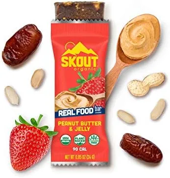 Organic Kids Snack Bar - Peanut Butter and Jelly (Pack)