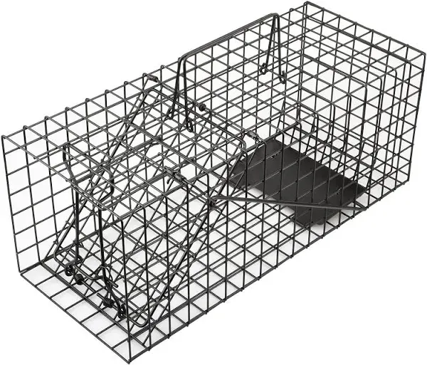 Live Squirrel Trap Heavy Duty Humane Animal Cage Trap for Indoors and Black