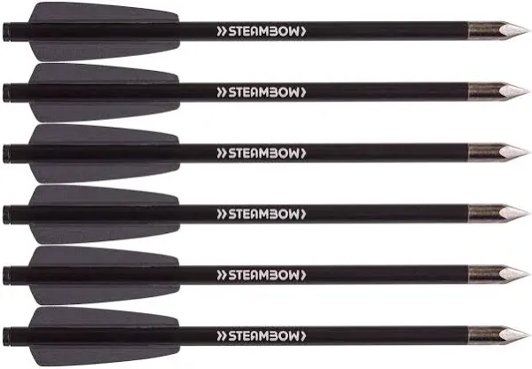 Steambow 0000401 AR-Series 162 Grains Aluminum Bodkin Arrows (Pack of 6)