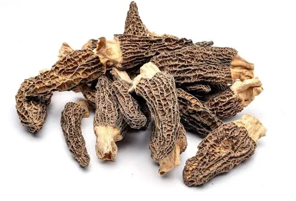 Dried Morel Mushrooms (Morchella Conica) Morel Mushrooms ( 2 oz Dried Morels)