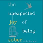 The Unexpected Joy of Being Sober: THE SUNDAY TIMES BESTSELLER [Book]