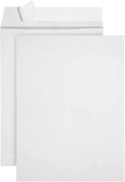 100 9 X 12 Self Seal Security Catalog Envelopes - Designed for Secure Mailing - Securely Holds up to 60 Sheets of Paper with Strong Peel and Seal Flap (100 Envelopes)