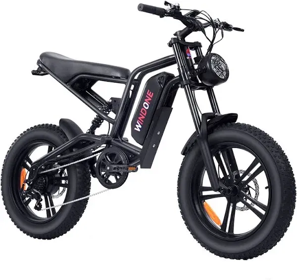 Windone E2 Electric Bike for Adults,750W Ebike with 48V13Ah Removable Battery,All-Terrain 20" Fat Tire Electric Bikes Up to 28MPH & 46.6Miles,Full