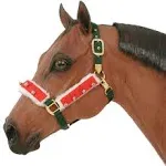 Holiday Halter/Bridle Set