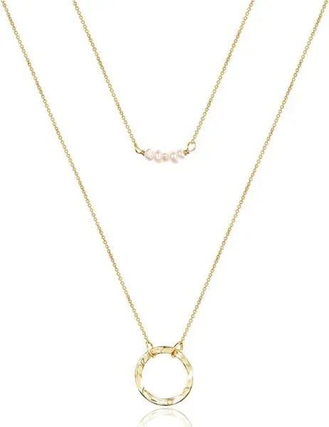 Turandoss Dainty Layered Choker Necklace