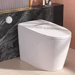 Leivi Smart Toilet with Built-in Heated Seat, Tankless Toilet with Auto Flushing, Adjustable Seat Temp, Flush Remote Control, Elongated