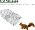 Anyhall Live Animal Cage Trap for Squirrels, Weasels and Similar-Size Rodents, Silver