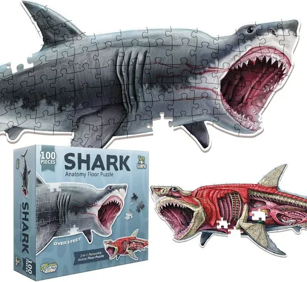 Puzzles Animal Anatomy: Shark (100pc)