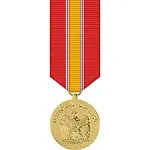 USAMM - National Defense Service Anodized Miniature Medal