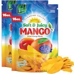 Dried Mango Slices Delicious Texture Soft Juicy Low Sugar Added Dried Mango Naturally Ripened Mangos Dried Fruits Gluten