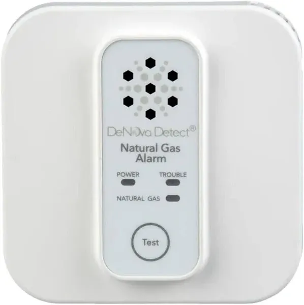 DeNova Detect 10 Year Battery Powered Natural Gas Alarm with Voice