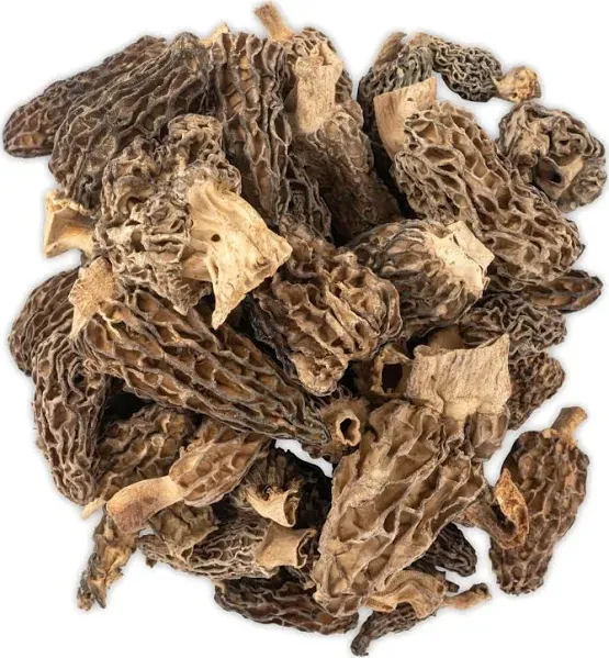 Slofoodgroup Dried Morel Mushrooms (Morchella Conica) Gourmet Morel Mushrooms (1oz Morels)