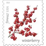 Mint US Winter Berries Booklet Pane of 20 Forever Stamps Scott# 5418b (MNH)