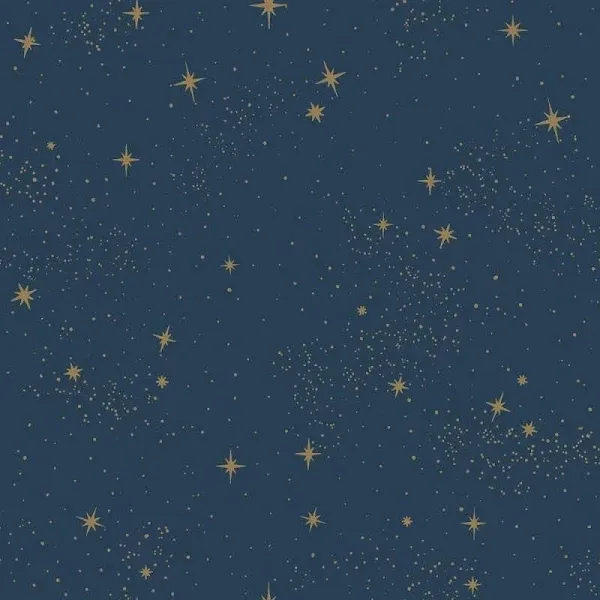 RoomMates RoomMates Upon A Star Peel and Stick Wallpaper Secondipity