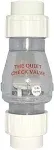 Magic B-0823-20C Silent Check Valve,pvc,2",slip