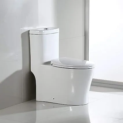 Woodbridge Classic 1-Piece 1.0/1.6 GPF High Efficiency Dual Flush Elongated All-in-One Toilet with Soft Closed Seat in White