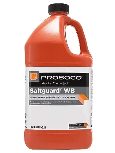 Prosoco Saltguard WB