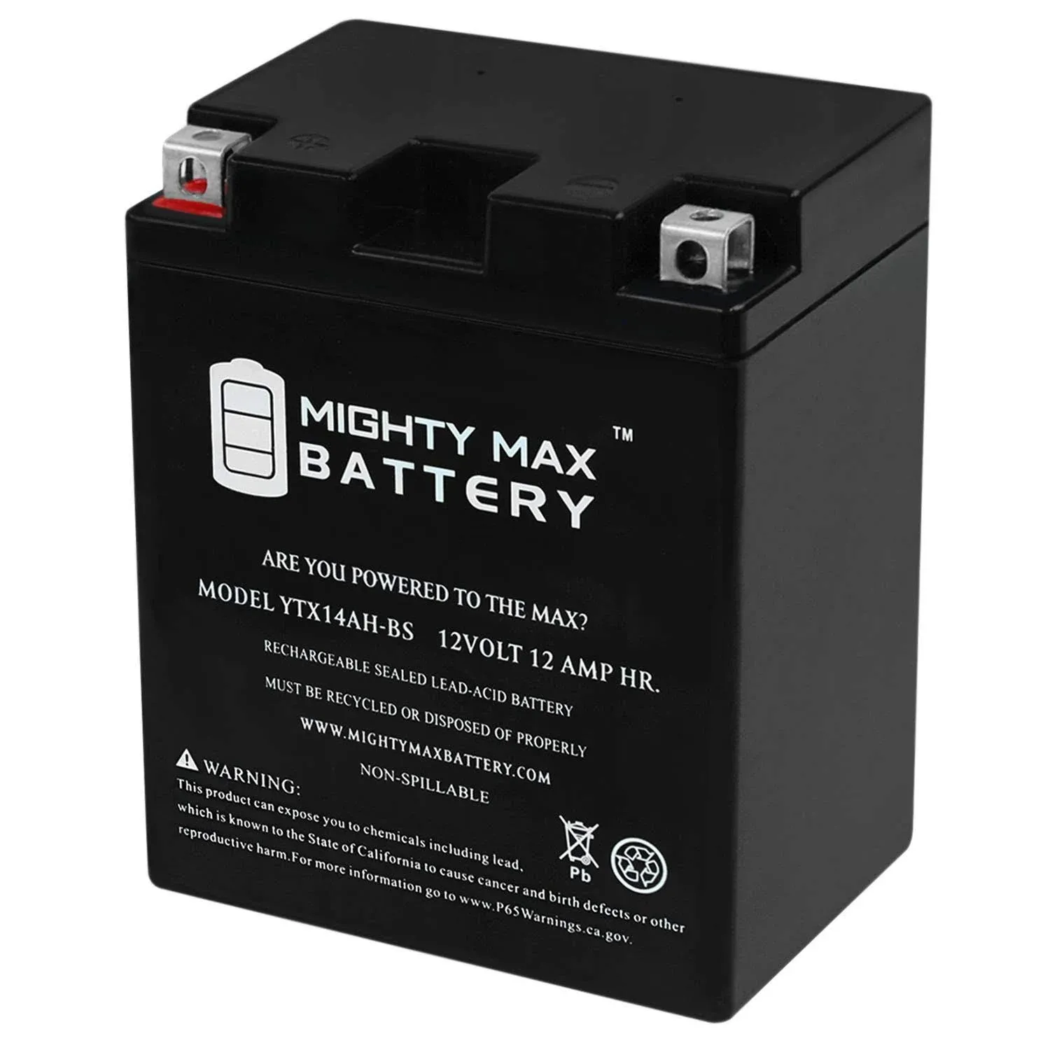 Ytx14ah-bs Battery for Yamaha YFM250 Bear Tracker 250cc 1999-2004