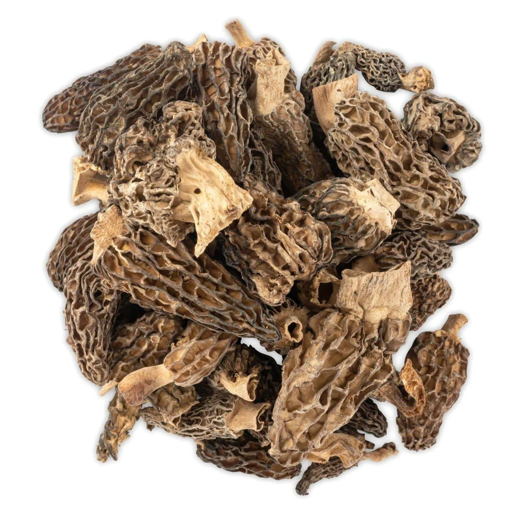 Slofoodgroup Dried Morel Mushrooms (Morchella Conica) Gourmet Morel Mushrooms (1oz morels)