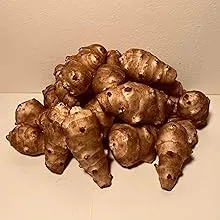 Sunchokes Adama Foods - 2 1/2 pounds (2.5 lbs) for Planting or Eating FEDEX 2daySunchokes Adama Foods - 2 1/2 pounds (2.5 lbs) for Plan…