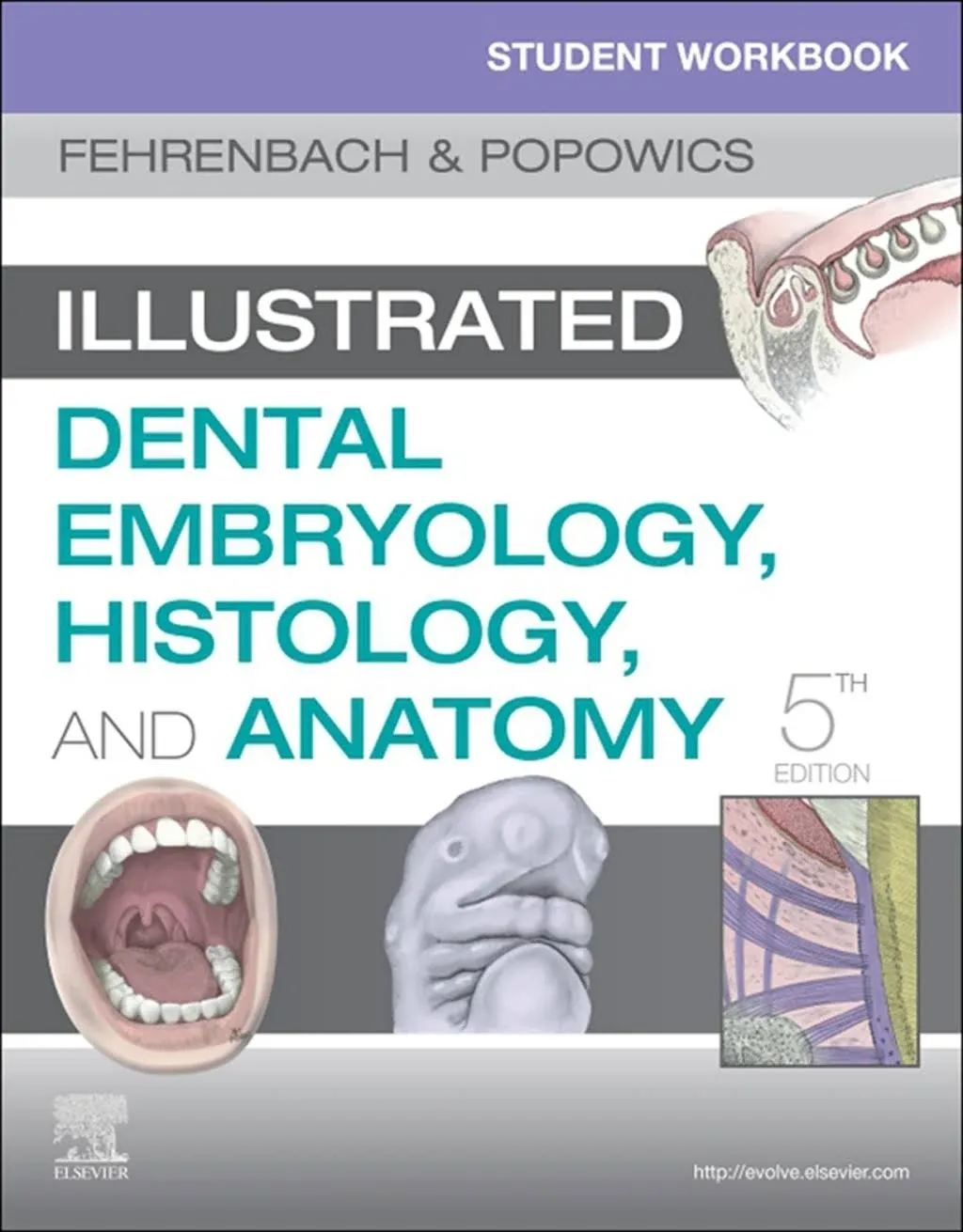 Student Workbook for Illustrated Dental Embryology, Histology and Anatomy