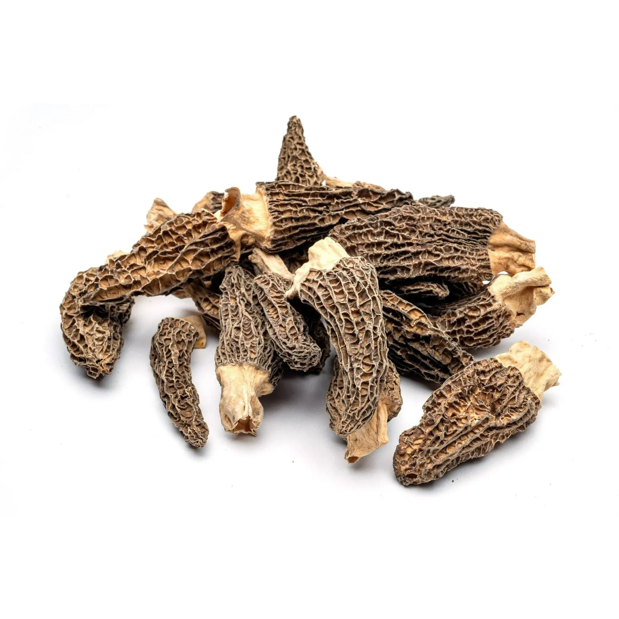 Slofoodgroup Dried Morel Mushrooms (Morchella Conica) Gourmet Morel Mushrooms ( 2 ...