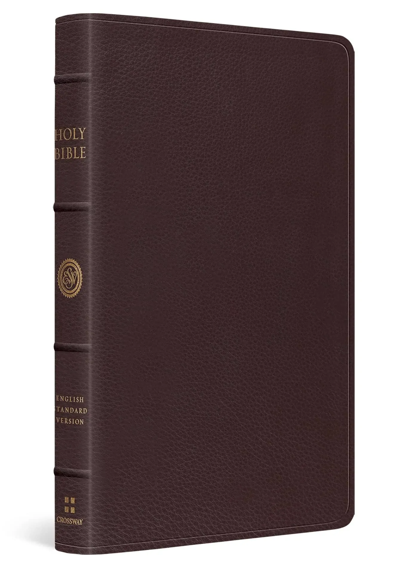 Large Print Thinline Reference Bible-ESV [Book]