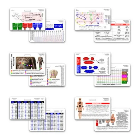 Mini Paramedic 6 Card Vertical Badge Reference Set