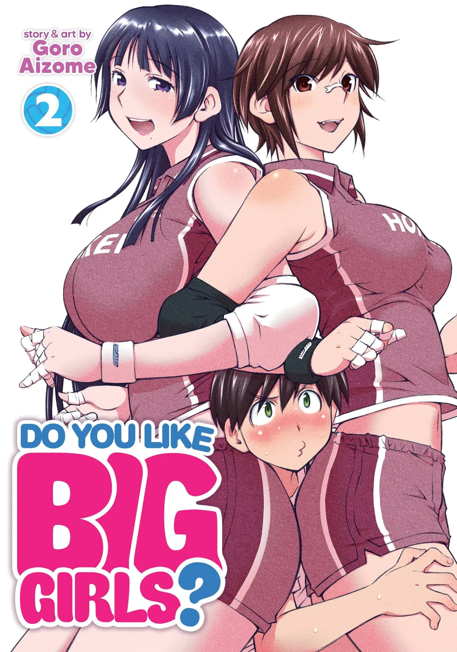 Do You Like Big Girls? Vol. 2 [Book]