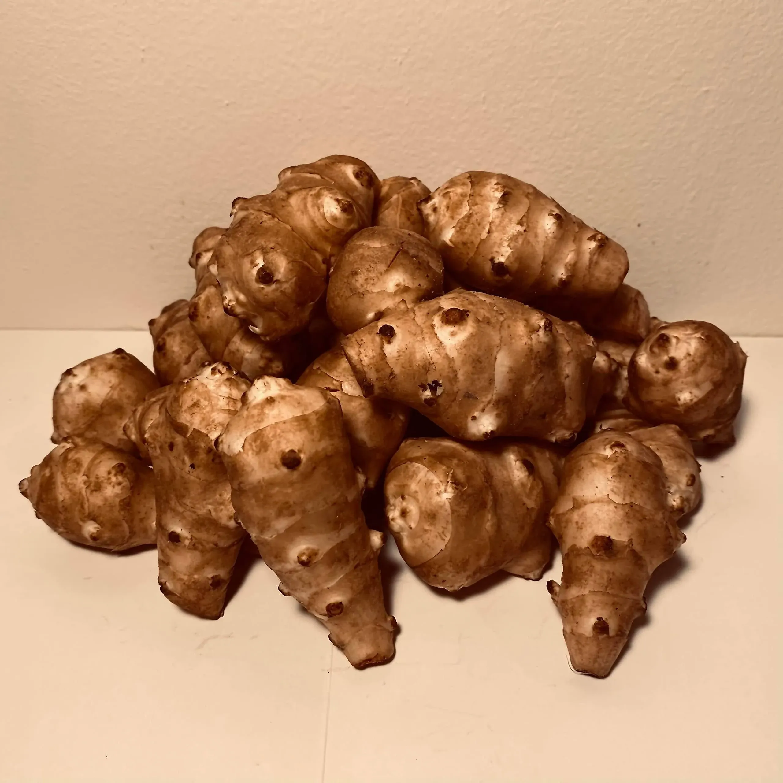 Jerusalem Artichokes (Sunchoke or Sunroot) Adama Foods - 2 1/2 pounds (2.5 lbs) for Planting or Eating