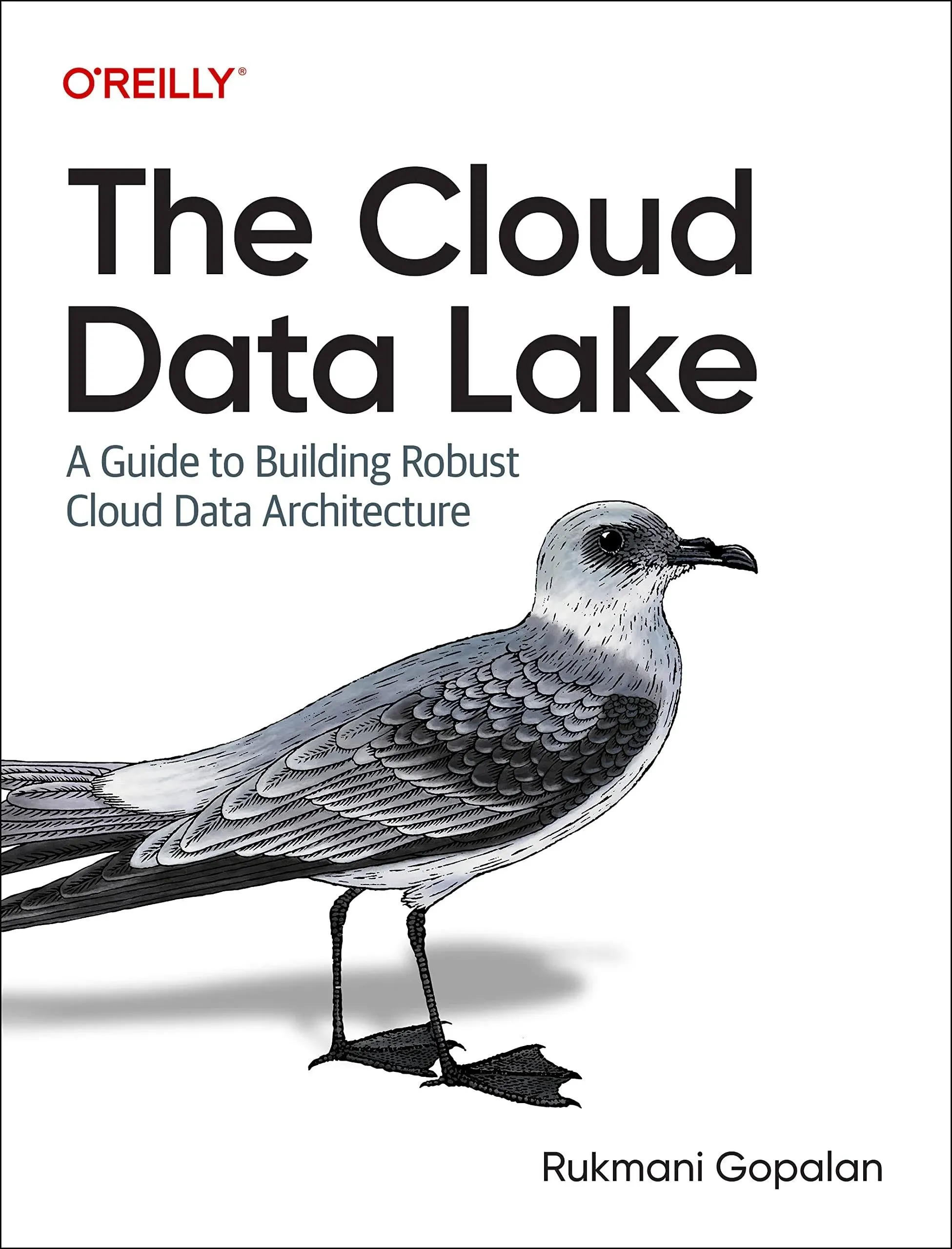 The Cloud Data Lake: A Guide to Building Robust Cloud Data Architecture [Book]