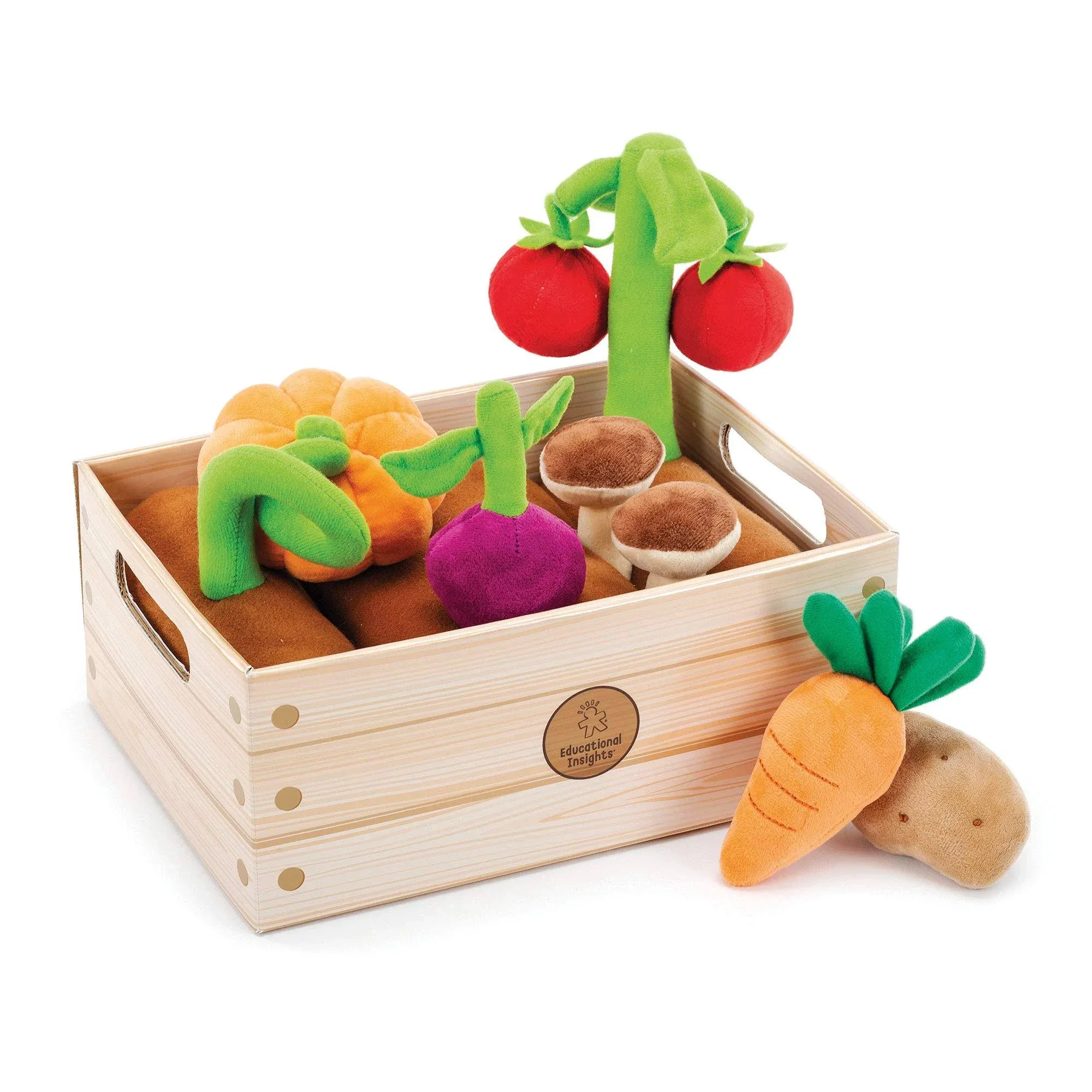 Educational Insights Vegetable Garden