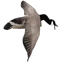 White Rock Decoys Deck Boss Flying Canada Goose Decoy FLYCG