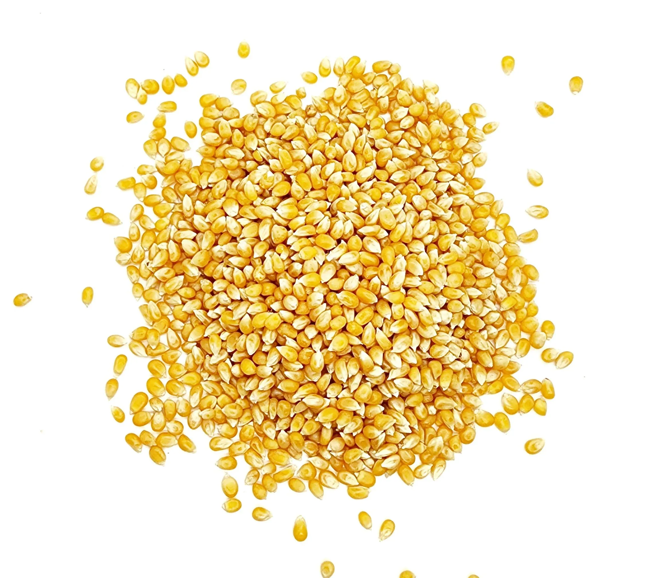 Premium Popcorn Kernels - 5 pounds - Original Yellow Popcorn kernel - by Gamar Foods