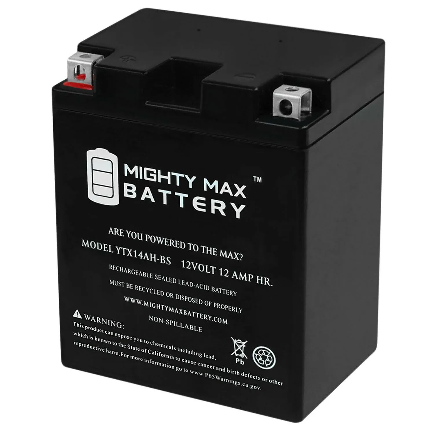 Mighty Max YTX14AH-BS 12V 12Ah Battery Replacement for Kawasaki 26012-1146  | eBay