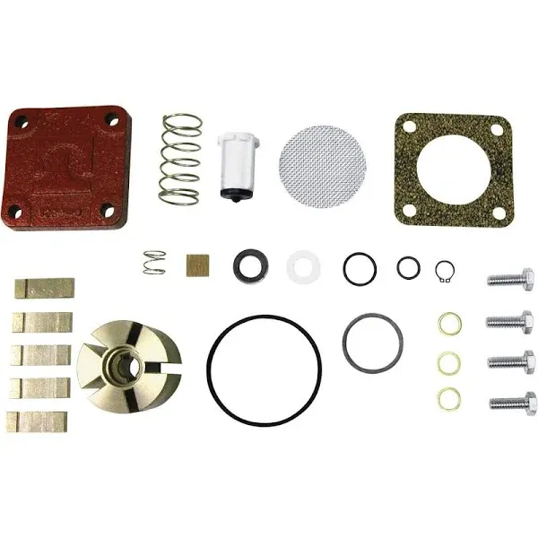 Fill-Rite 4200KTF8739 Pump Repair Kit