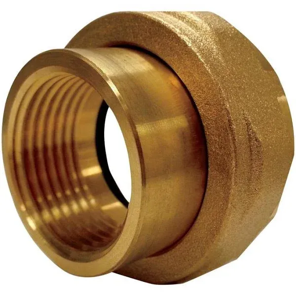 Cash Acme 3/4 in. Brass Tailpiece Fitting Kit 3/4 in. 1 pc